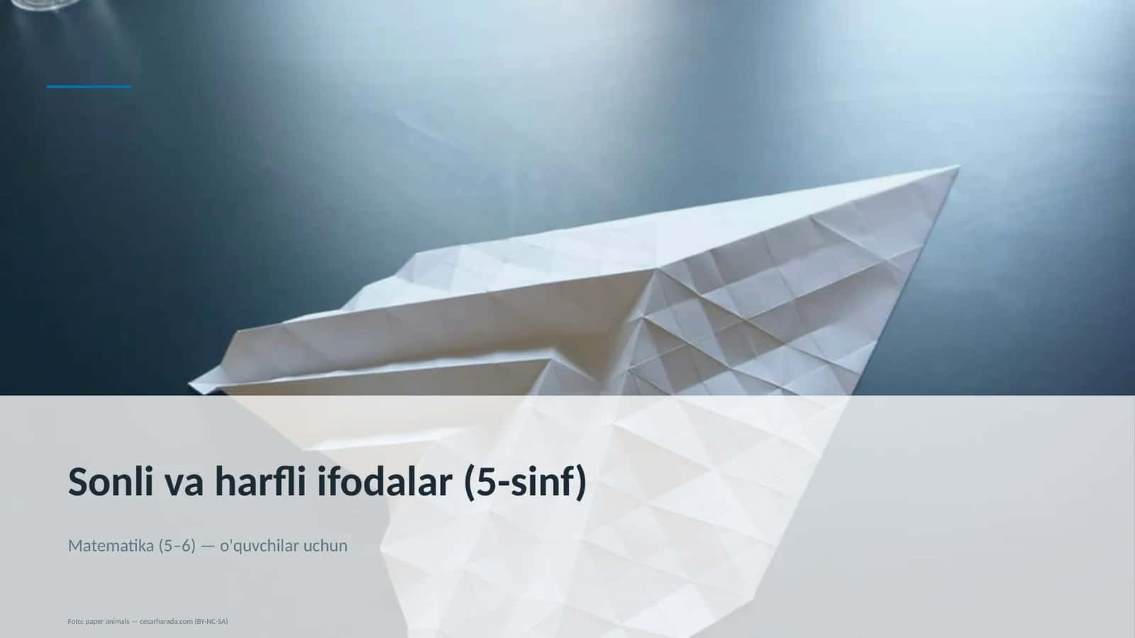 Sonli va harfli ifodalar (5-sinf)