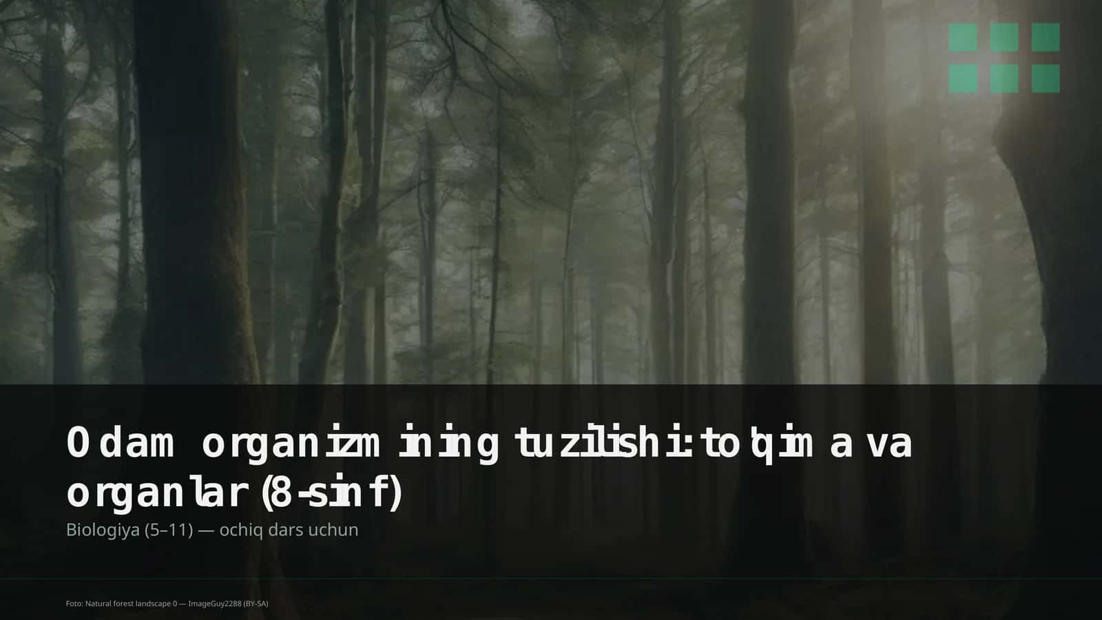 Odam organizmining tuzilishi: to'qima va organlar (8-sinf)