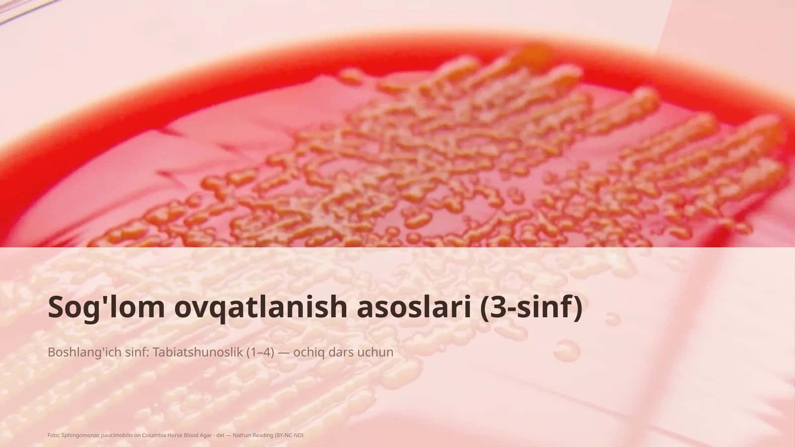 Sog'lom ovqatlanish asoslari (3-sinf)