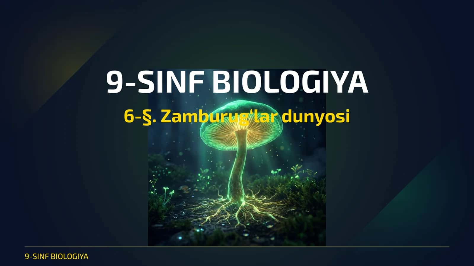 Zamburug‘lar dunyosi