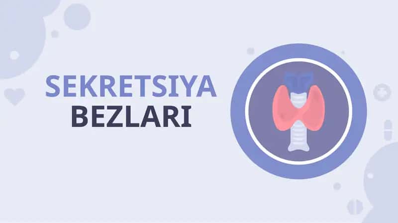 SEKRETSIYABEZLARI