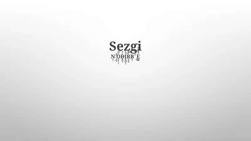 Sezgi
