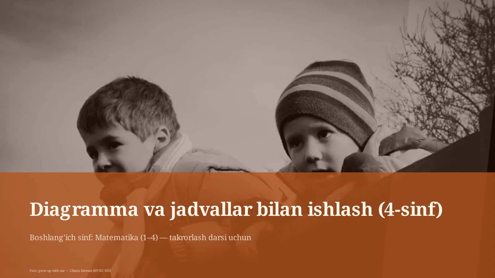 Diagramma va jadvallar bilan ishlash (4-sinf)