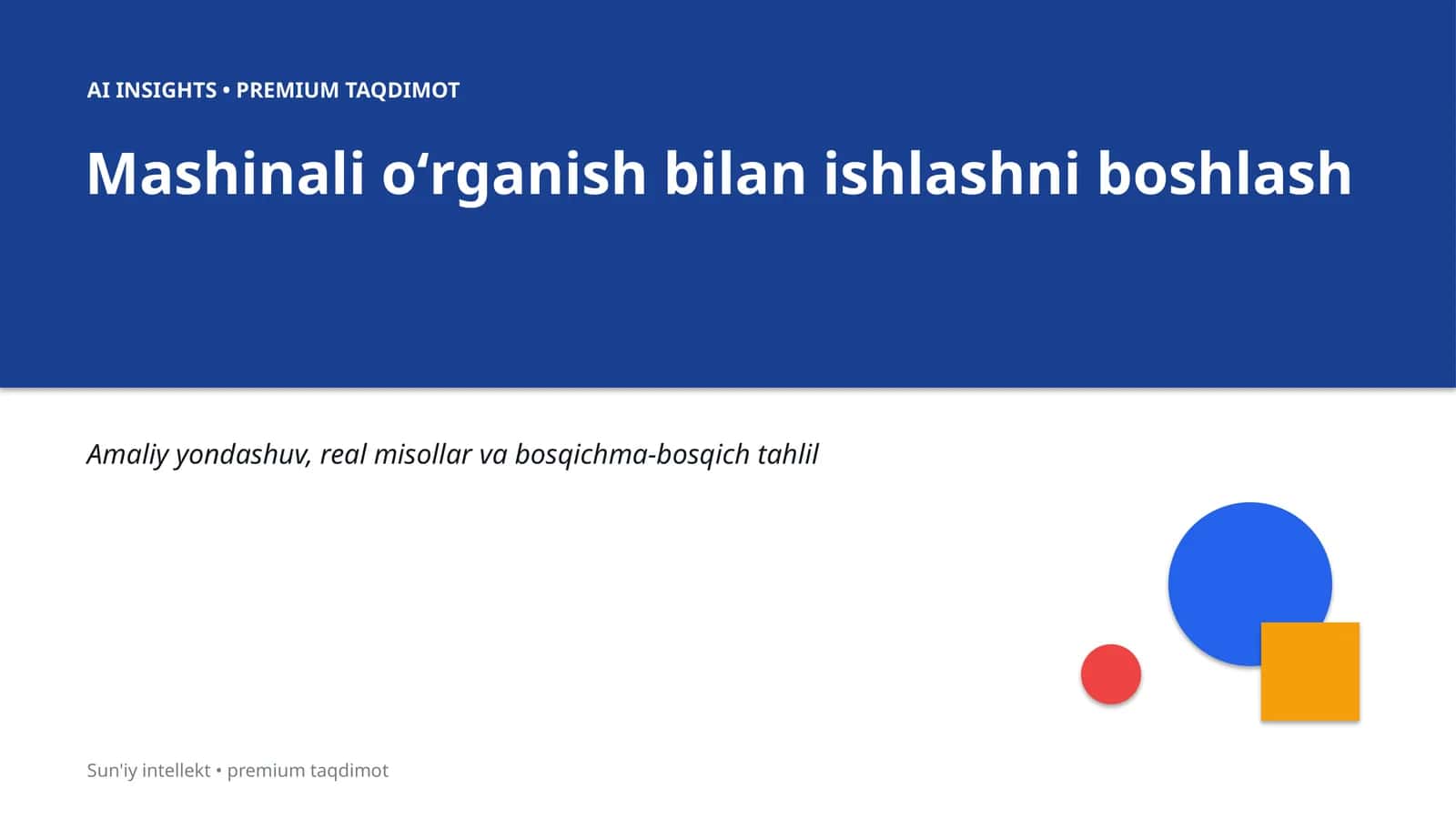 AI INSIGHTS • PREMIUM TAQDIMOT