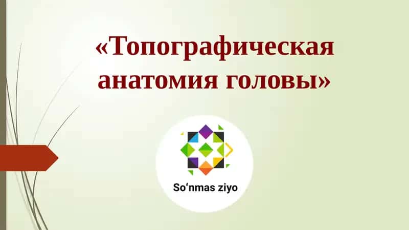 Топографическая анатомия головы