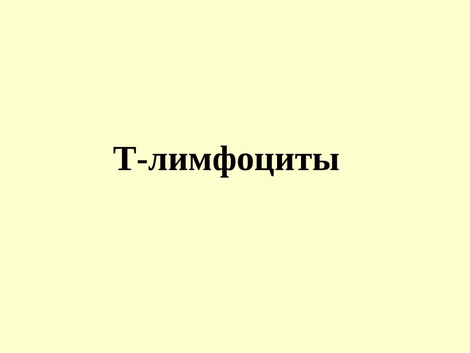 Т-лимфоциты