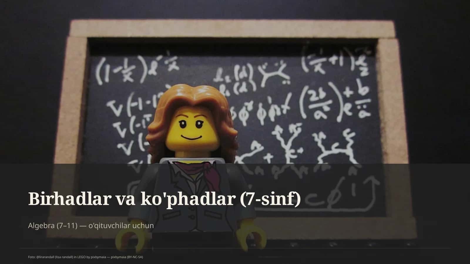 Birhadlar va ko'phadlar (7-sinf)
