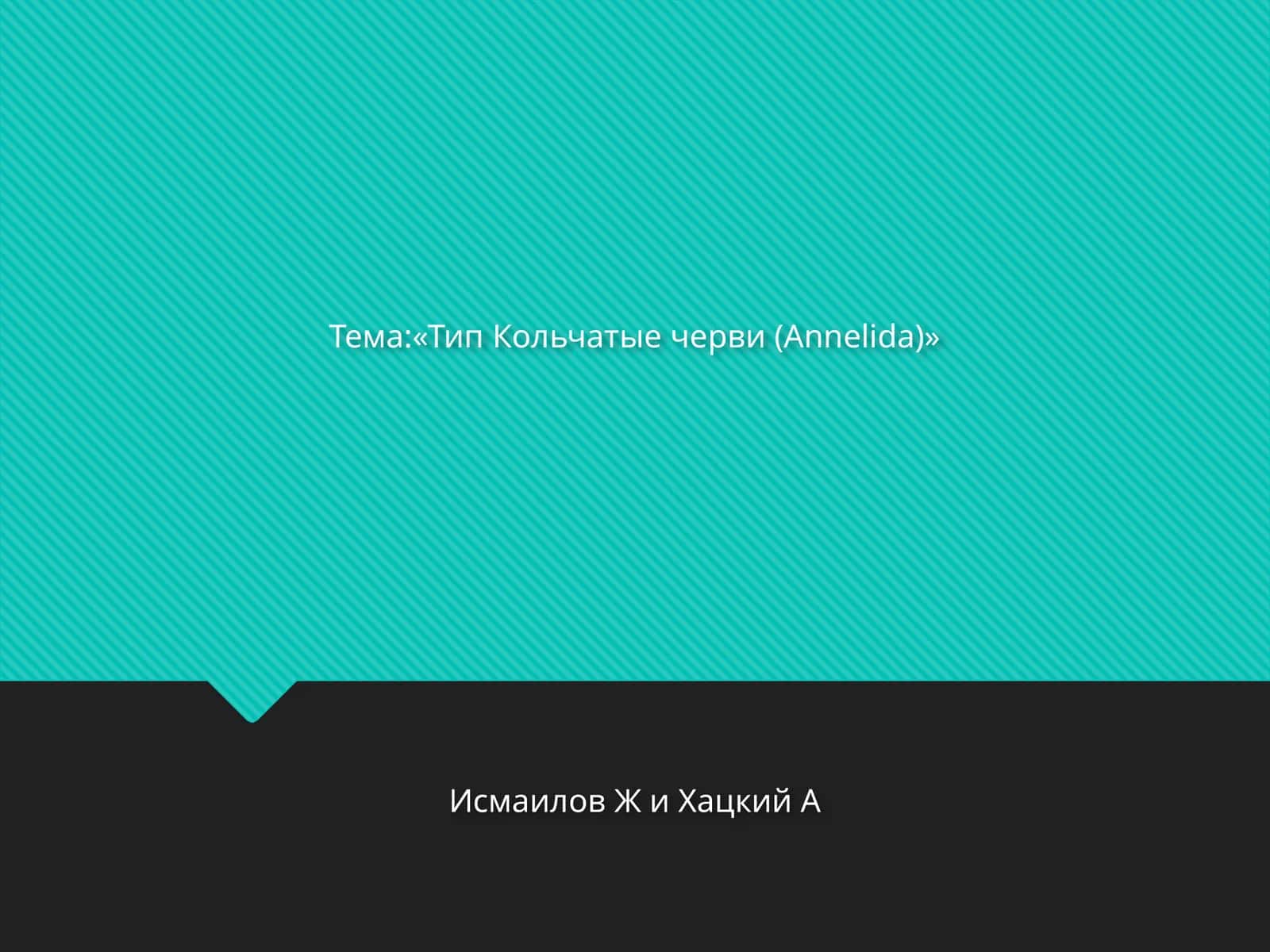 Тип Кольчатые черви (Annelida)