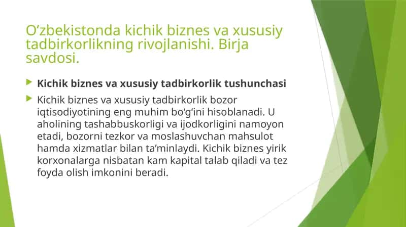 Kichik biznes va xususiy tadbirkorlik
