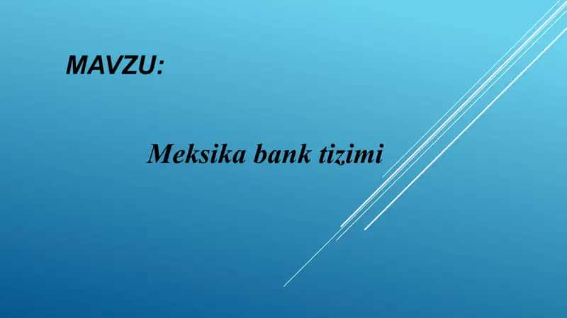 MEKSIKA BANK TIZMI