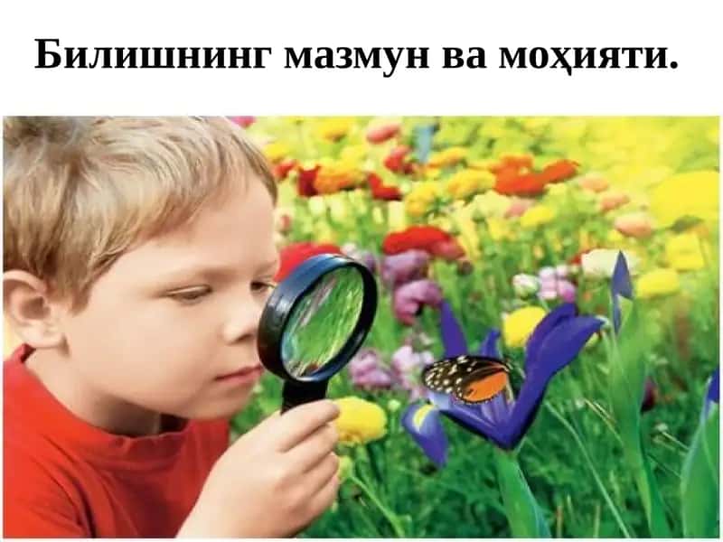 Илмий билишнинг моҳияти ва услублари