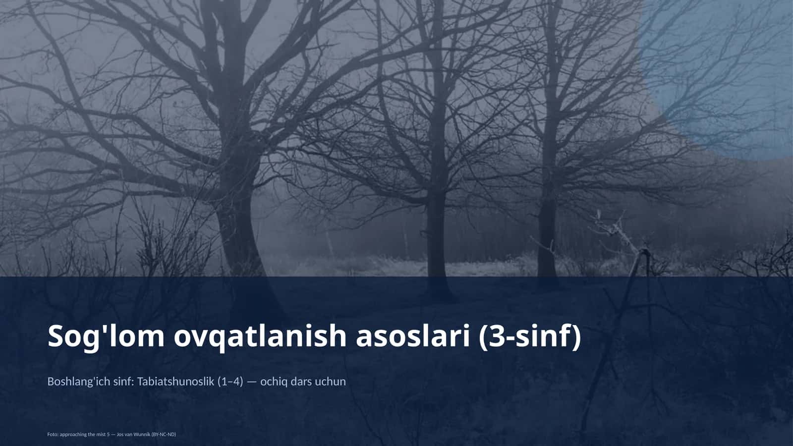 Sog'lom ovqatlanish asoslari (3-sinf)