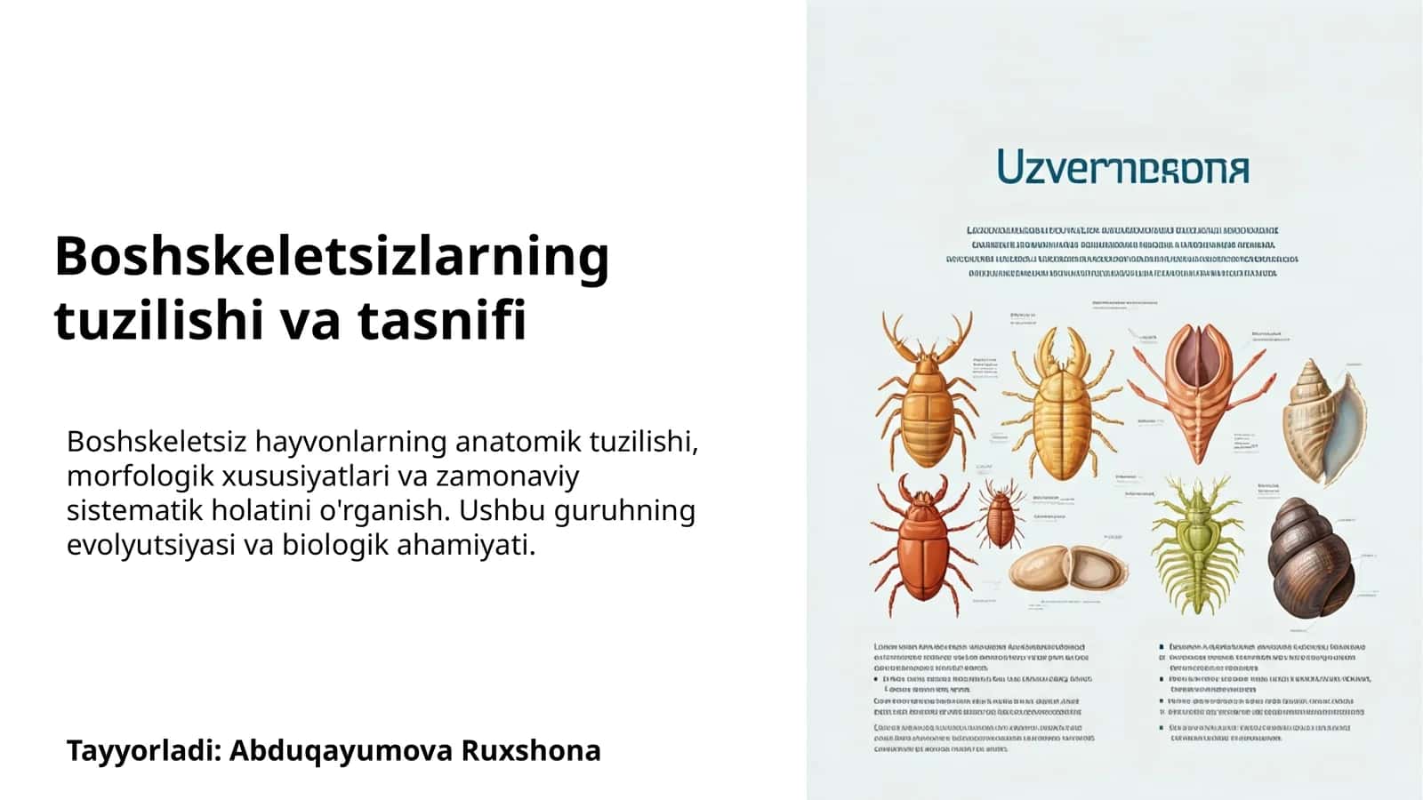 Boshskeletsizlarning tuzilishi va tasnifi