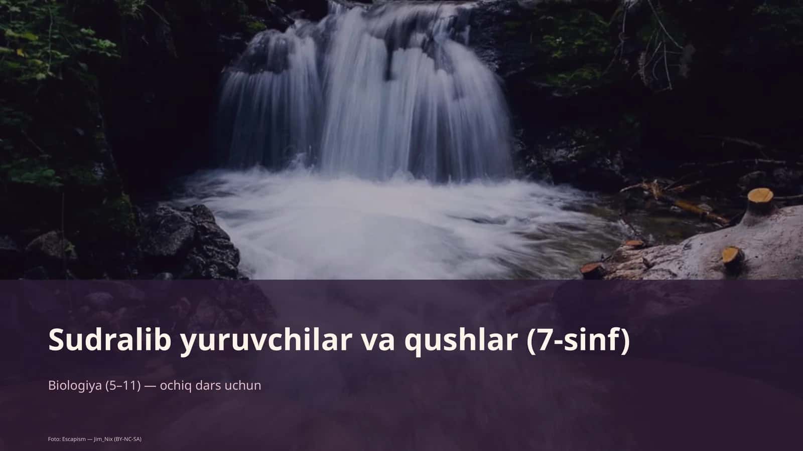 Biologiya (5-11) — ochiq dars uchun