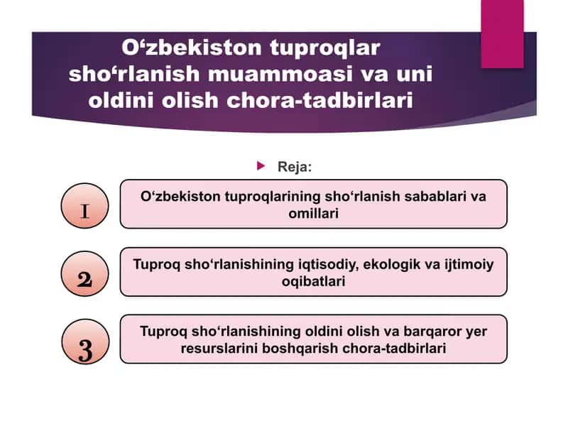 O‘zbekiston tuproqlar sho‘rlanish muammoasi va uni oldini olish chora-tadbirlari