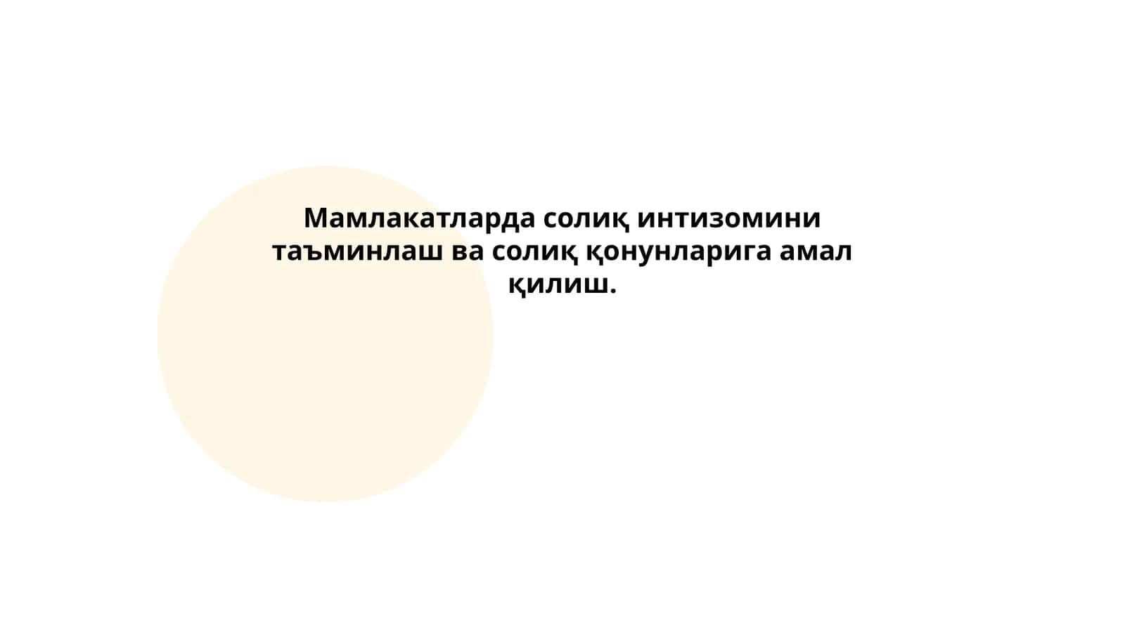 Солиқ назорати тизимлари