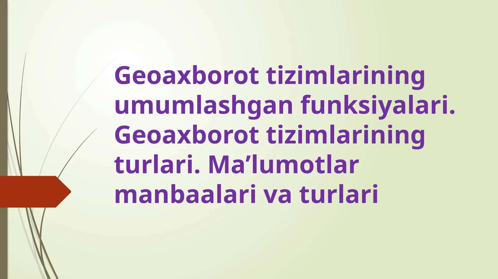 Geoaxborot tizimlarining funksionalari