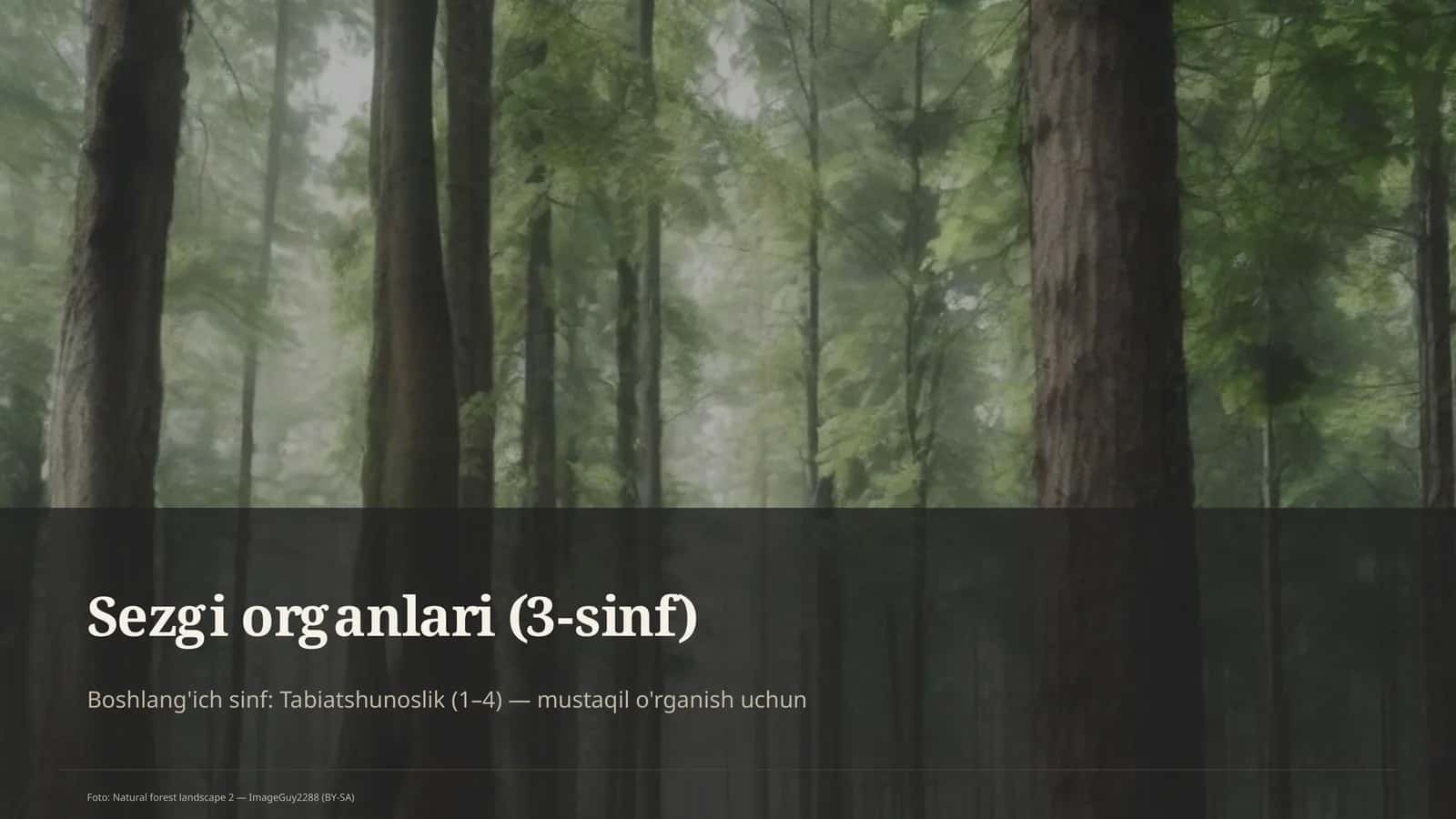 Sezgi organlari (3-sinf)