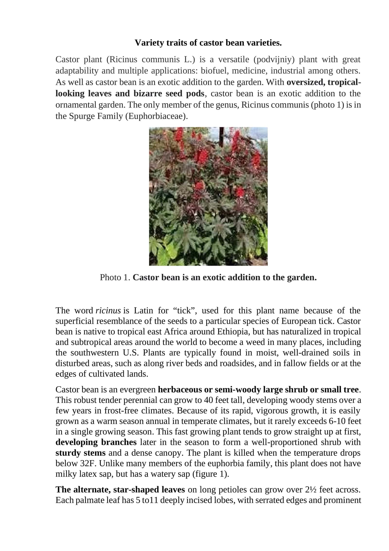 Variety traits of castor bean varieties