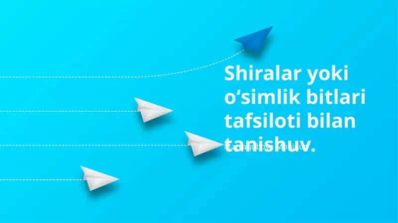 Shiralarga Qarshi Kurash Usullari