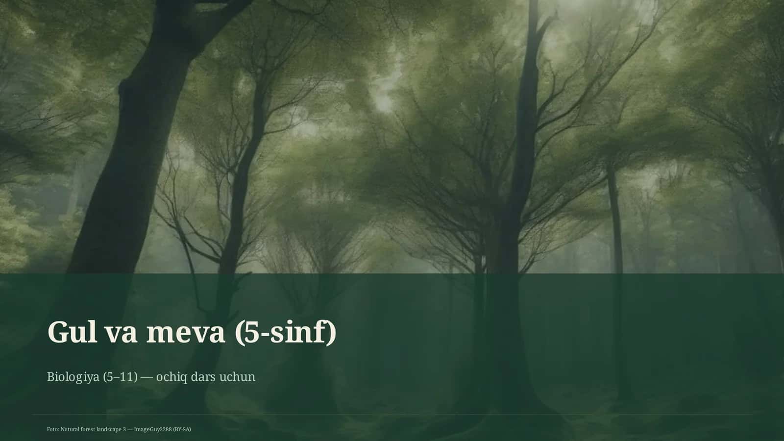 Gul va meva (5-sinf)