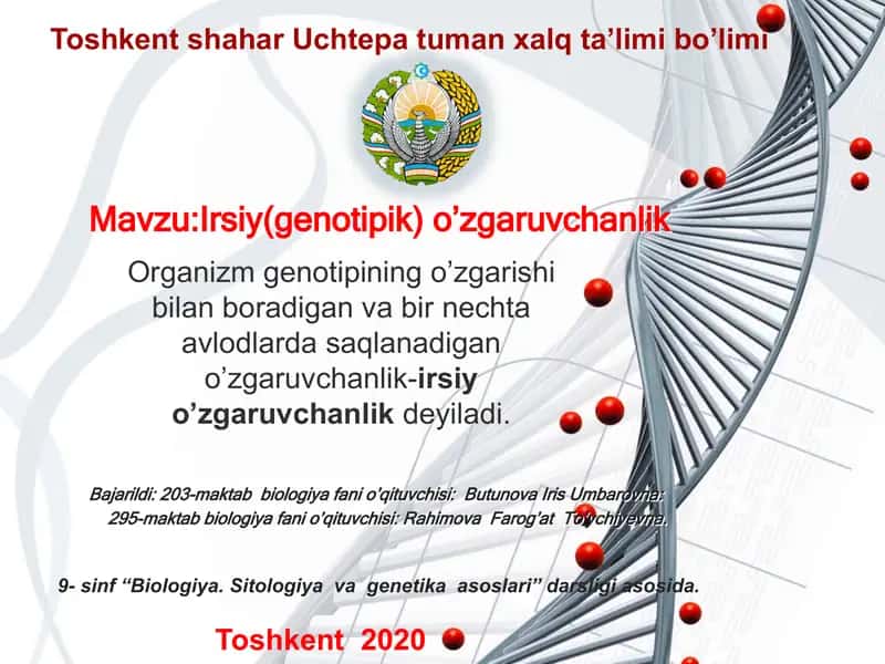 Iroda nazariyasi va tadqiqoti