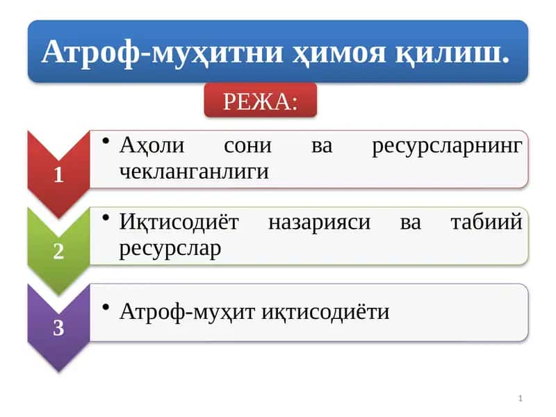 Инвайронментализм