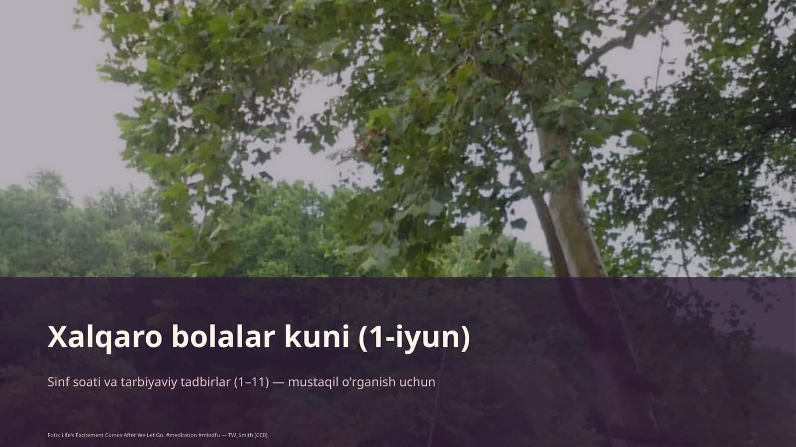 Sinf soati va tarbiyaviy tadbirlar