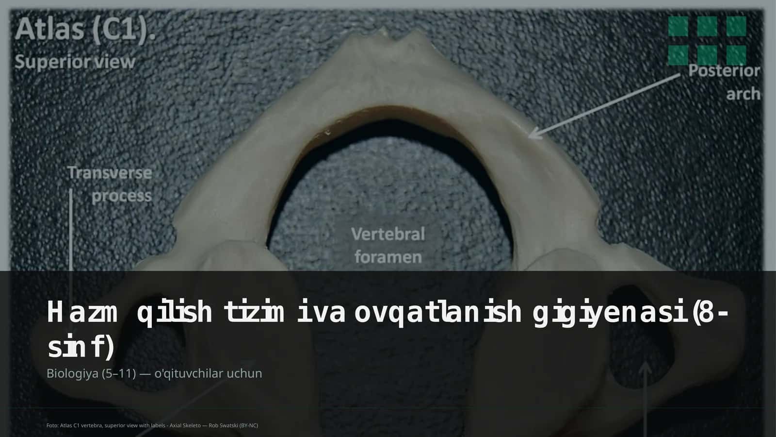Hazm qilish tizimi va ovqatlanish gigiyenasi (8-sinf)