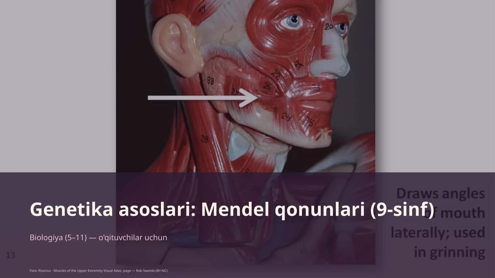 Genetika asoslari: Mendel qonunlari (9-sinf)
