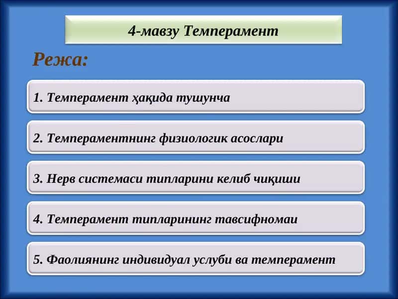 Темперамент