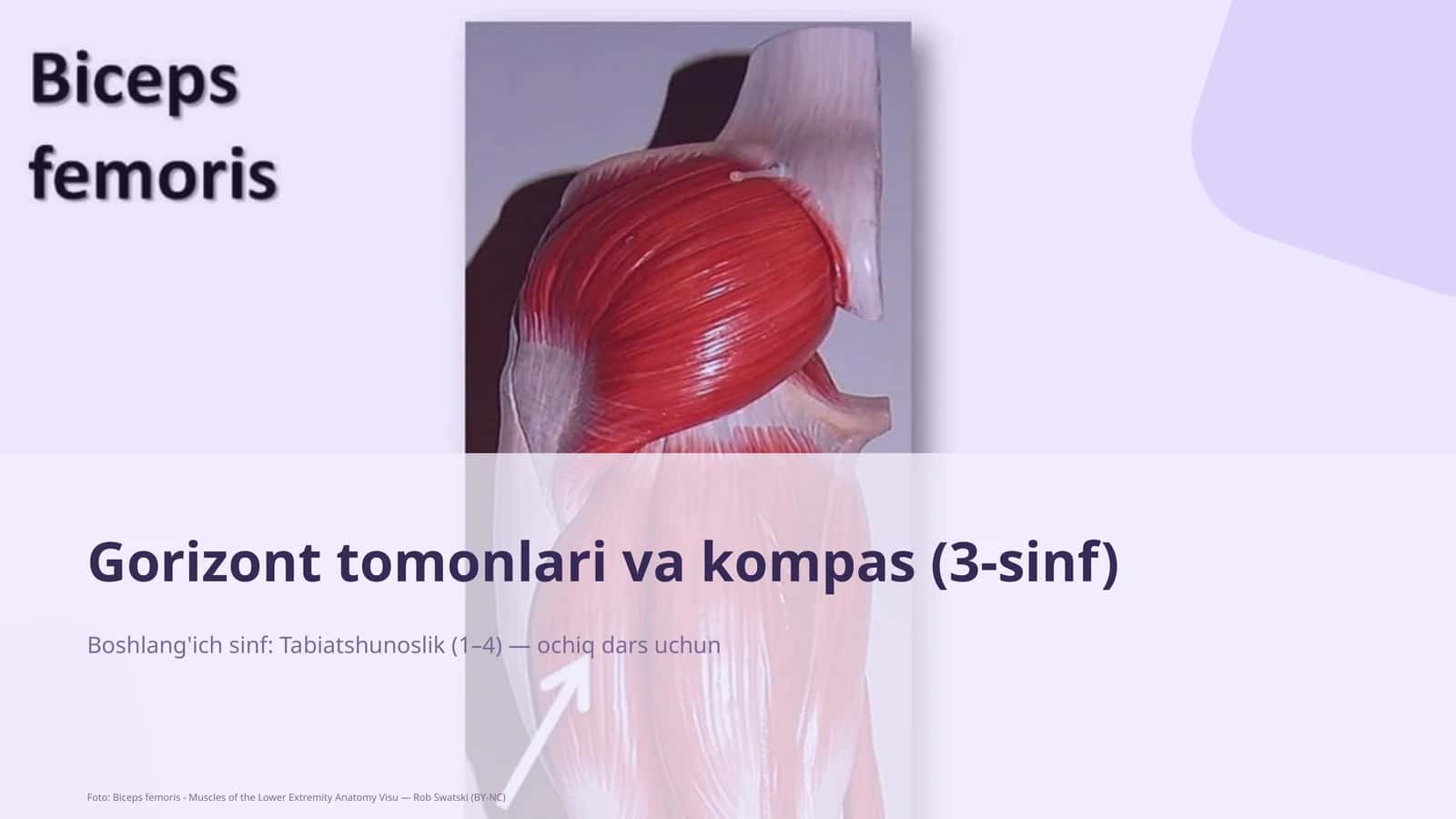 Gorizont tomonlari va kompas (3-sinf)