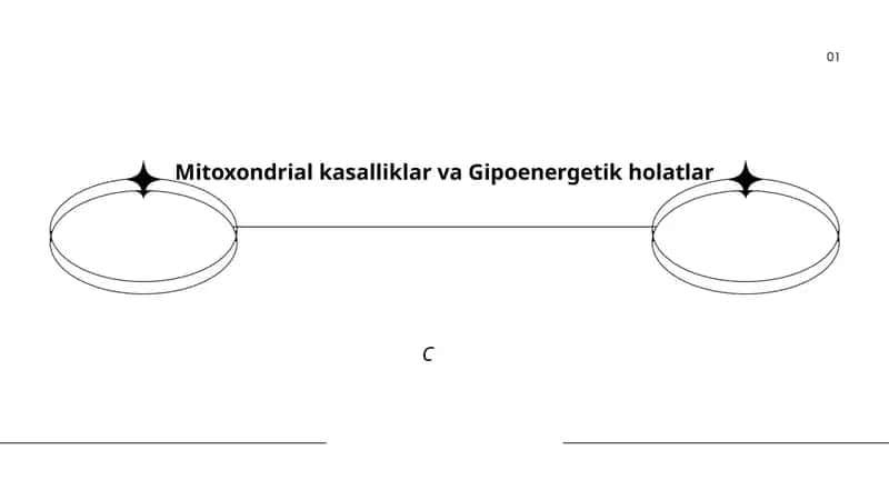 Mitoxondrial kasalliklar va Gipoenergetik holatlar