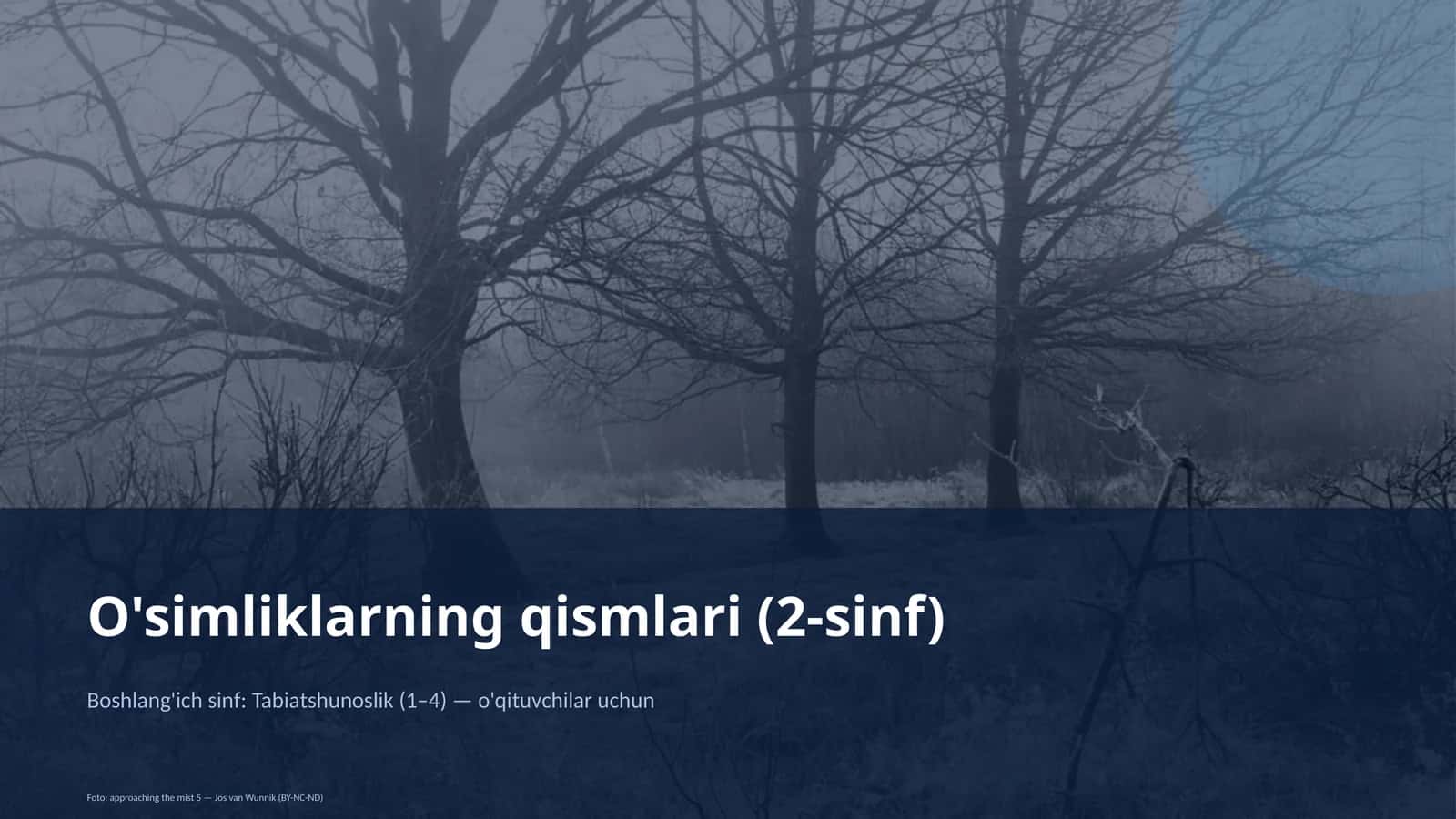 O'simliklarning qismlari (2-sinf)
