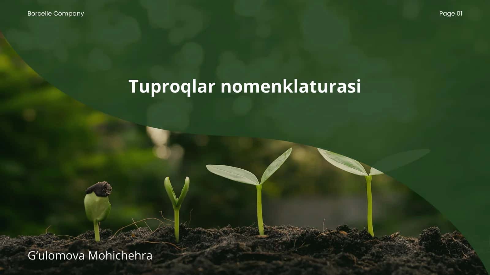 Tuproqlar nomenklaturasi