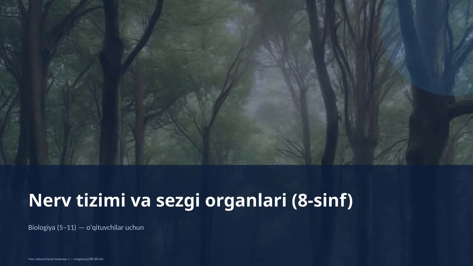 Nerv tizimi va sezgi organlari (8-sinf)