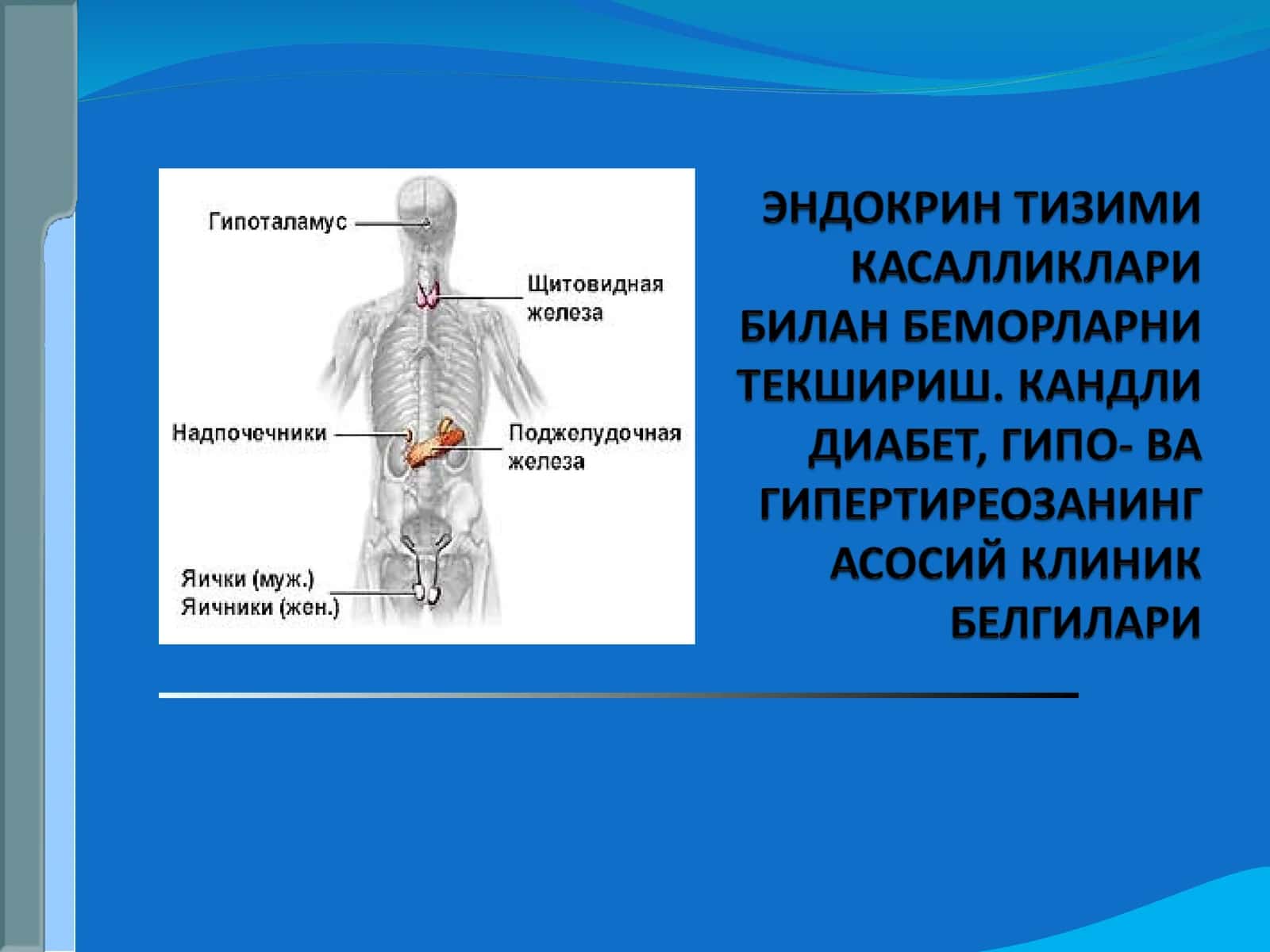 Ички секреция безларида