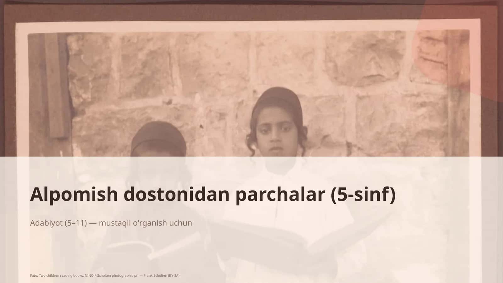 Alpomish dostonidan parchalar (5-sinf)
