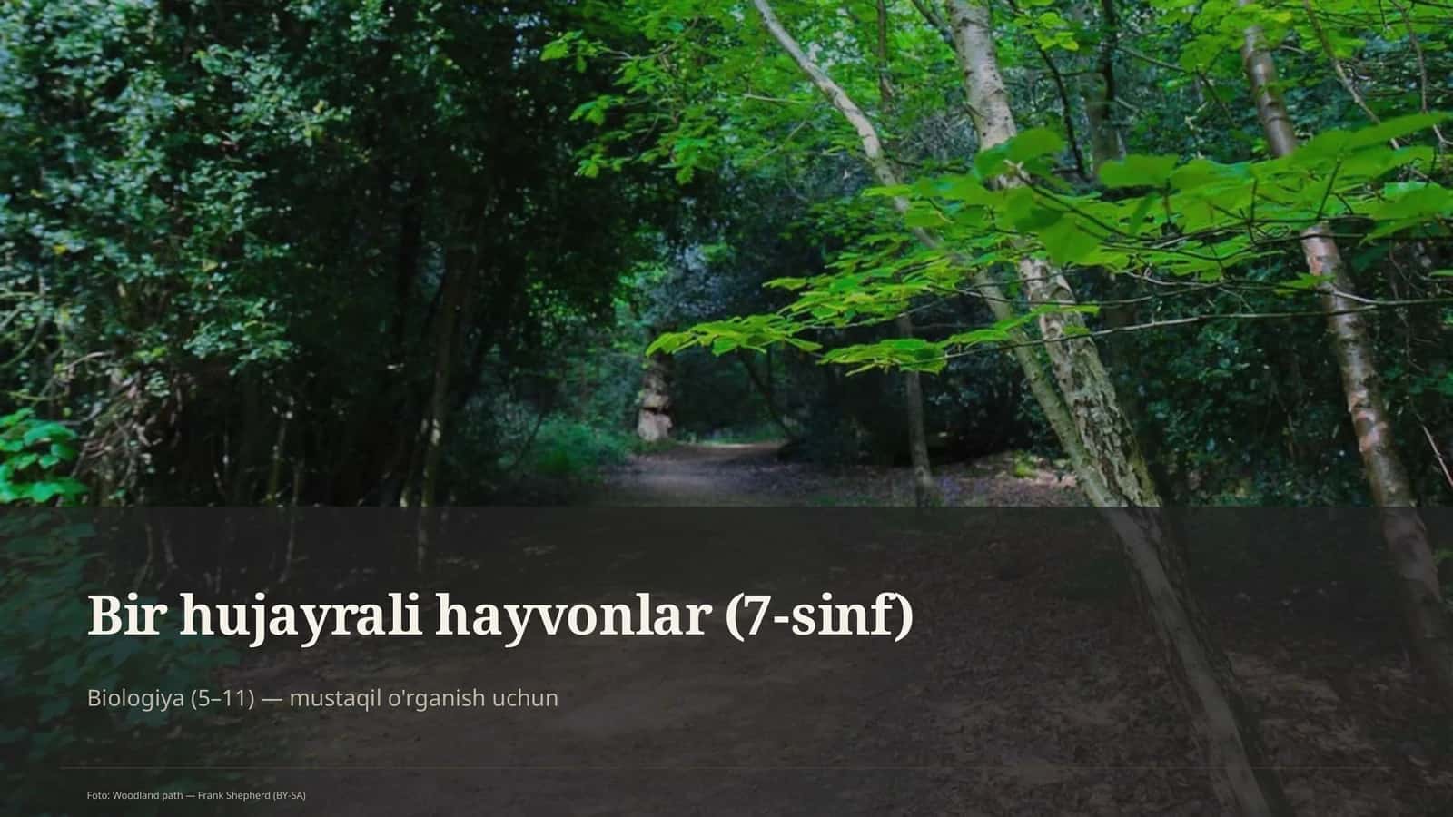 Bir hujayrali hayvonlar (7-sinf)