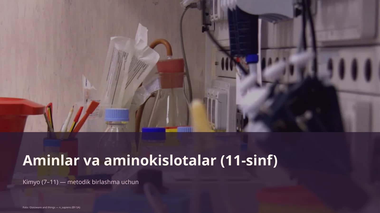Aminlar va aminokislotalar (11-sinf)