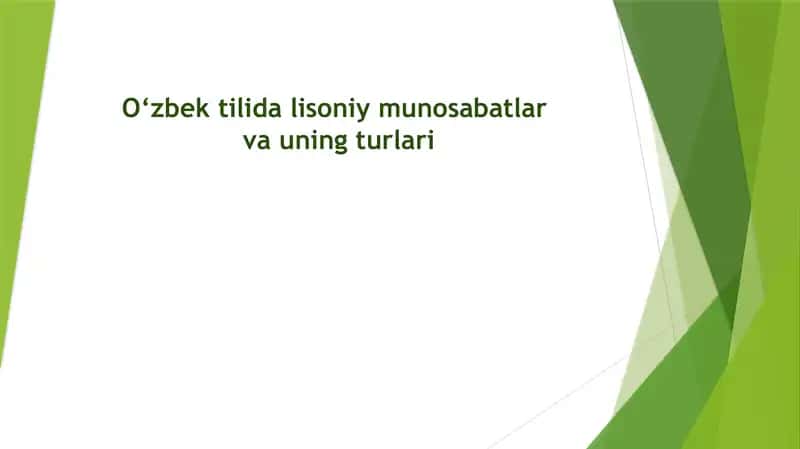 O‘zbek tilida lisoniy munosabatlar va uning turlari