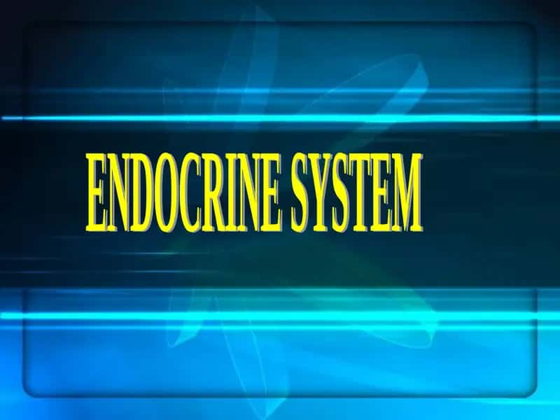 ENDOKRINOLOGIK TIZIM