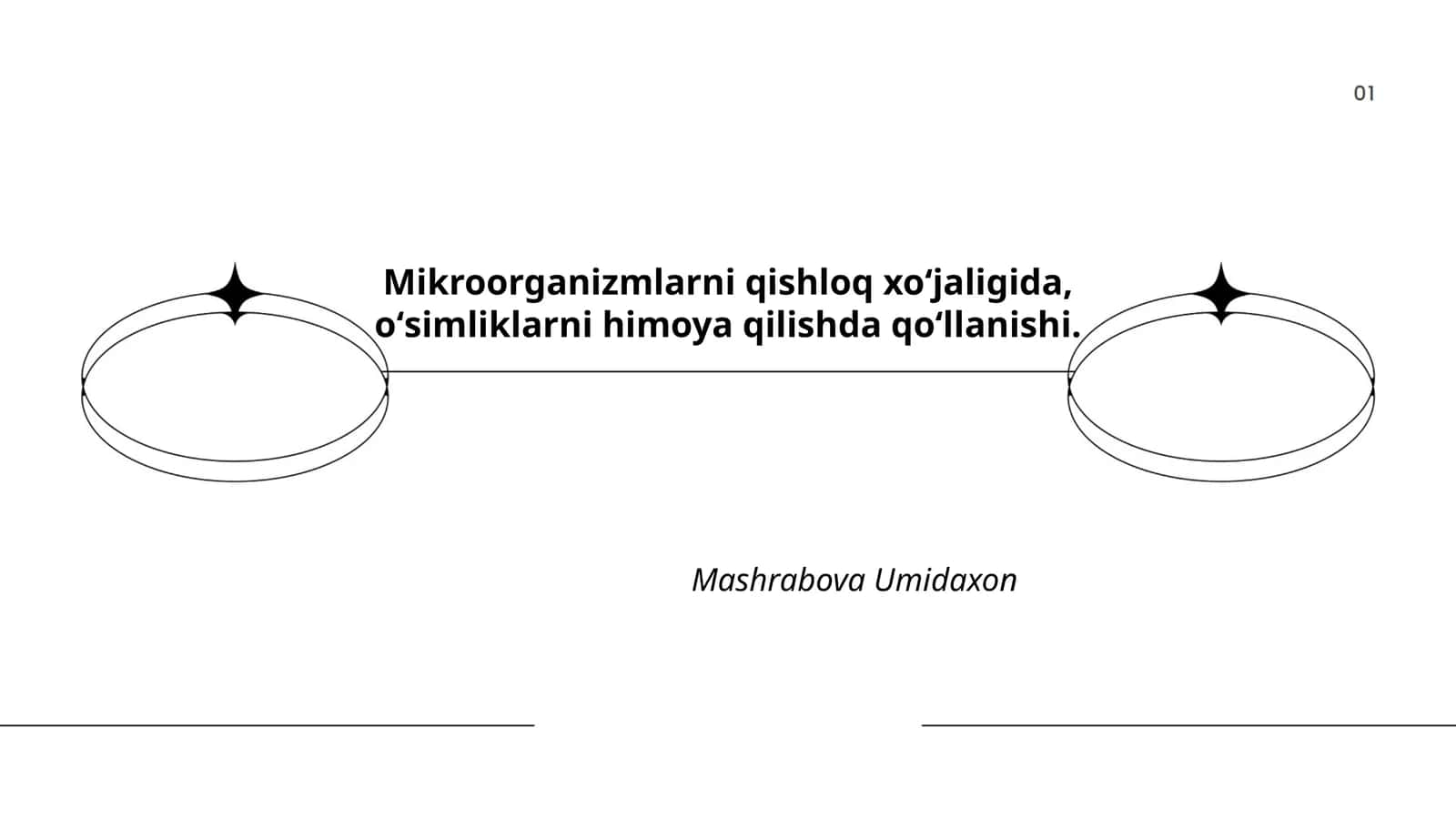 Mikroorganizmalar