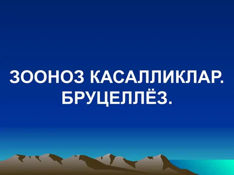 ЗООНОЗ КАСАЛЛИКЛАР. БРУЦЕЛЛЁЗ.