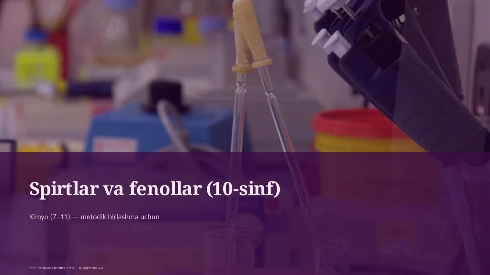 Spirtlar va fenollar (10-sinf)