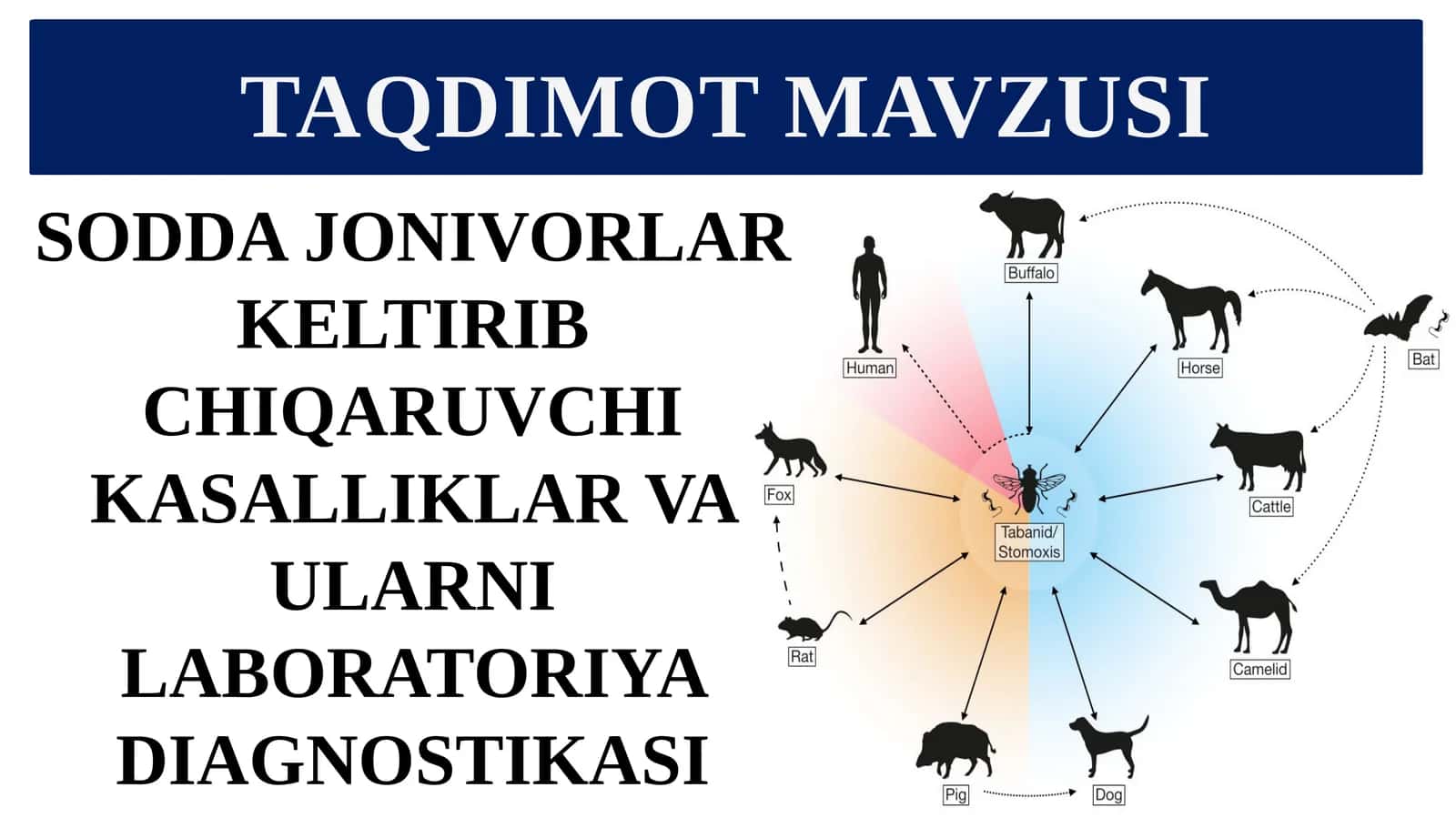 Soddajonivorlar Keltirib Chiqaruvchi Kasalliklar va Ularni Laboratoriya Diagnostikasi