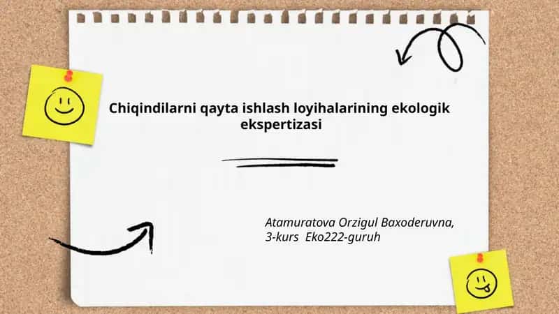 Qayta ishlash loyihalarining ekologik ekspertizasi