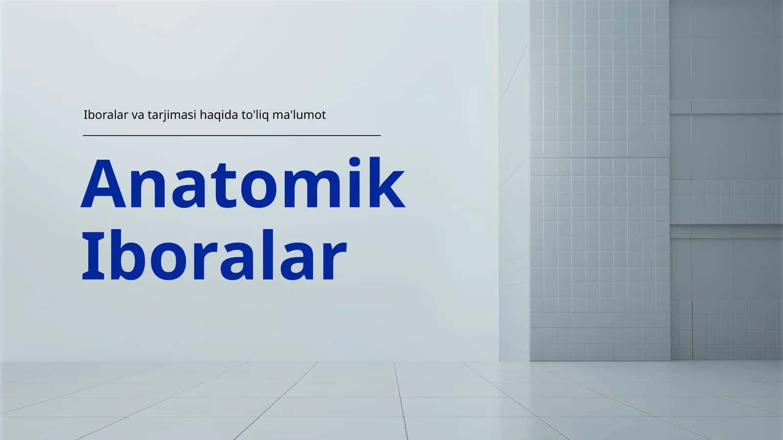 Anatomik Iboralar