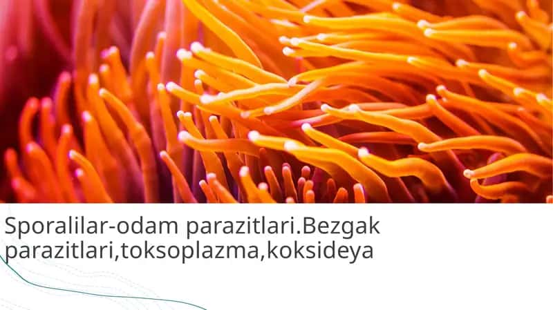 Kirish. Sporalilar-odam parazitlari