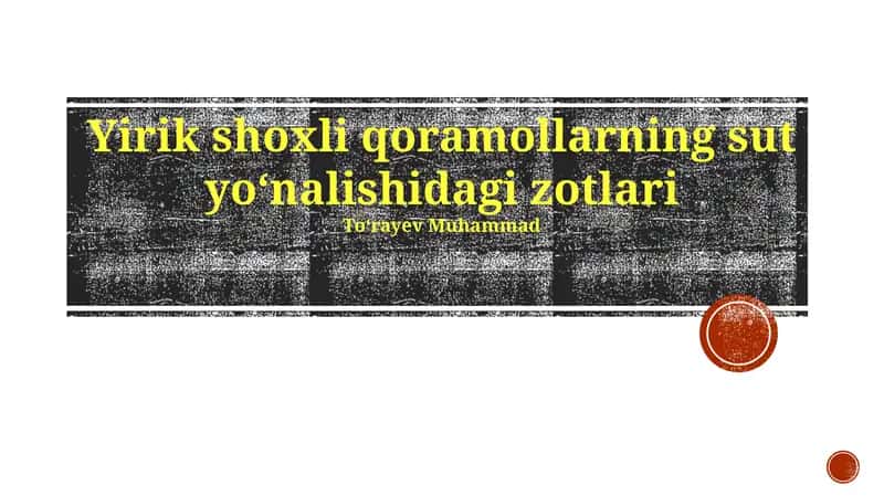 Yirik shoxli qoramollarning sut yoʻnalishidagi zotlari